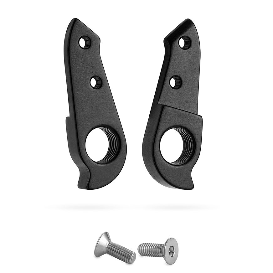 G110 - Derailleur Hanger