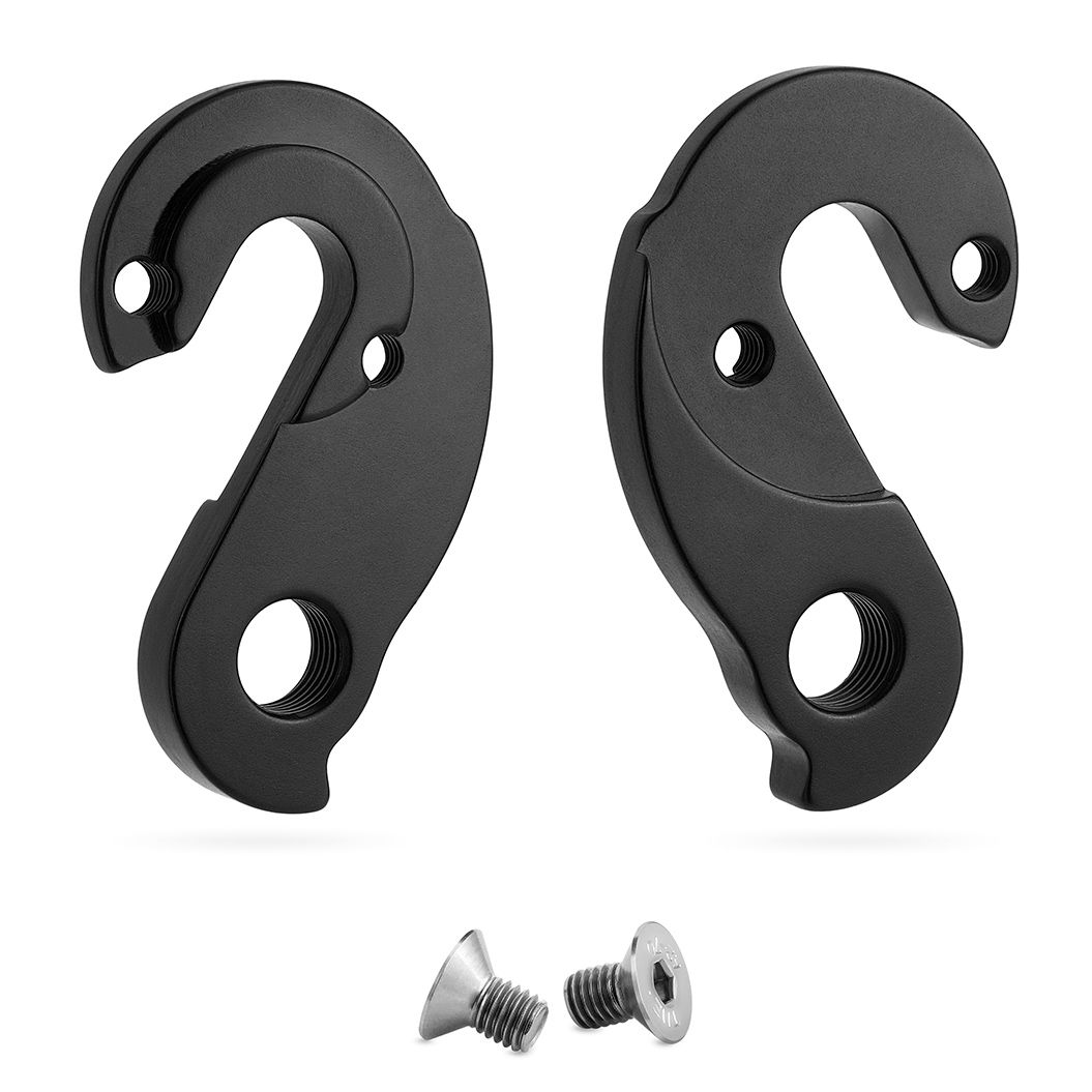 G290 - Derailleur Hanger