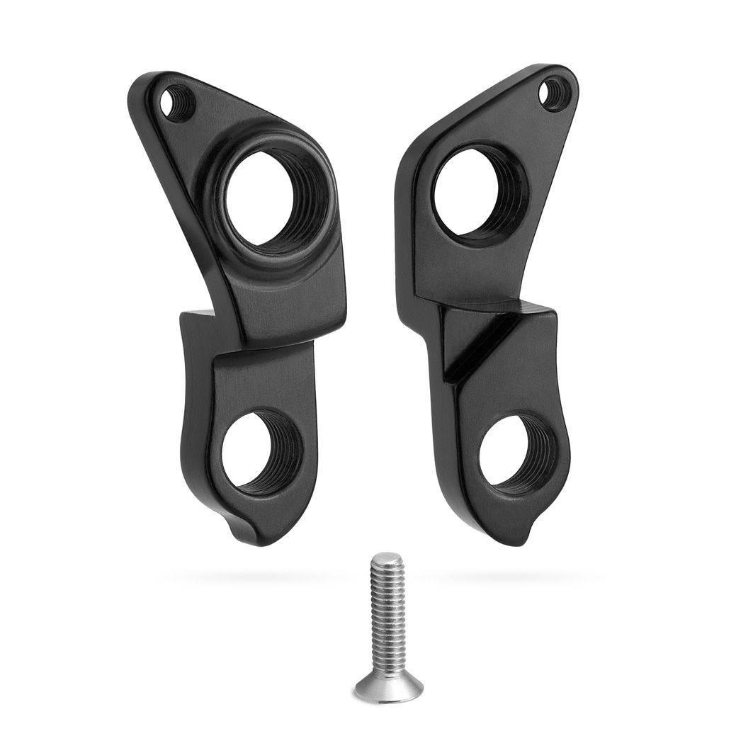 G301 - Derailleur Hanger