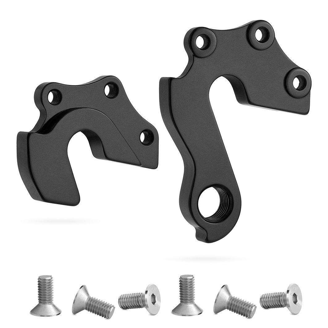 G291 - Derailleur Hanger