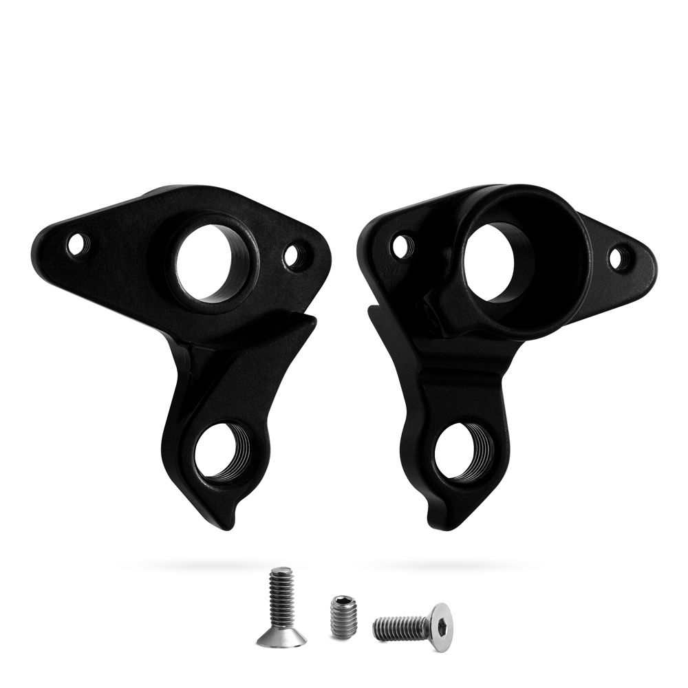 G390 - Derailleur Hanger