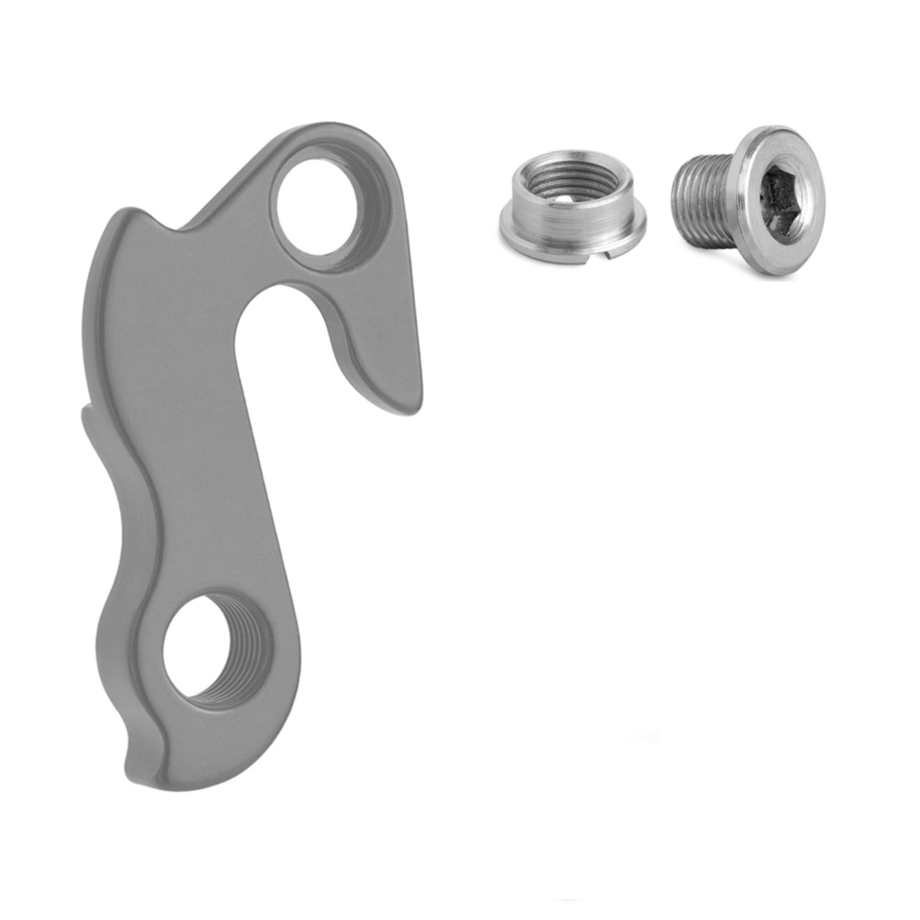 P005 - Screw for Derailleur Hanger G086